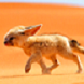 Fuchs