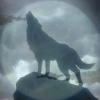 lonewolfgaming