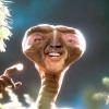 Pavillin